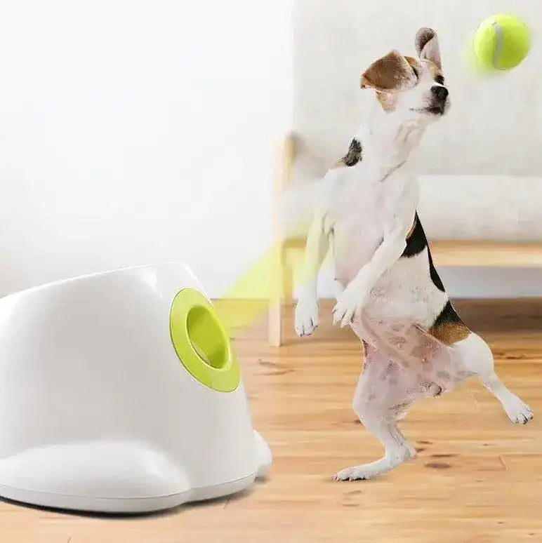 DogPro™ - Automatic Ball Launcher